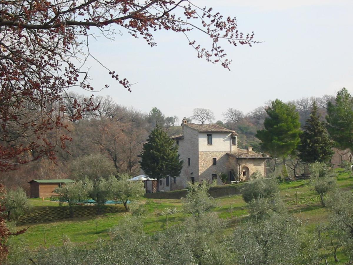 Girasole - Agriturismo Fogliani Giano dellʼUmbria Buitenkant foto